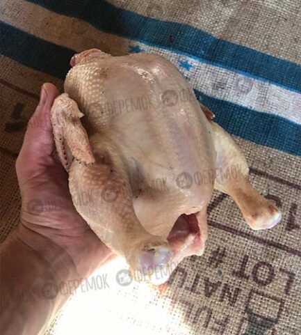 Цыпленок корнишон 0.75-1 кг. Тушки молодых цыплят.