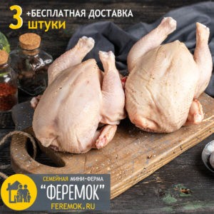 Цыплята корнишоны купить в Новосибирске